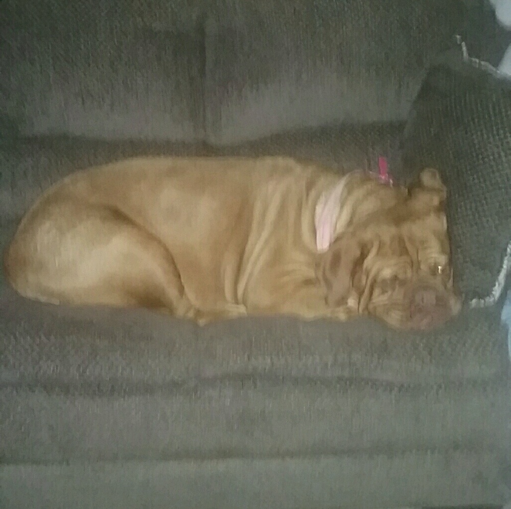 Meet your Posher, Gina